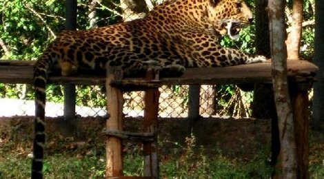 На фото: Заповедник Бандла, 118 Заповедник Бандла, 118