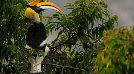 На фото: Заповедник Котигао, 118 Заповедник Котигао, 118