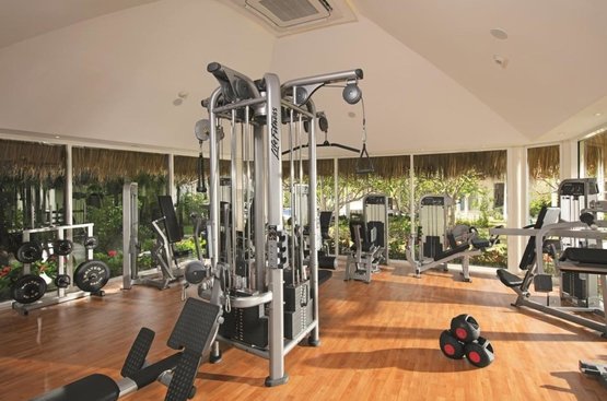 Домінікана Dreams Royal Beach Punta Cana - All Inclusive