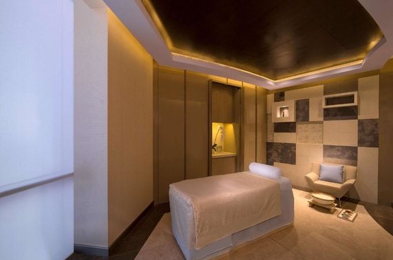 ОАЕ Hyatt Regency Dubai Creek Heights