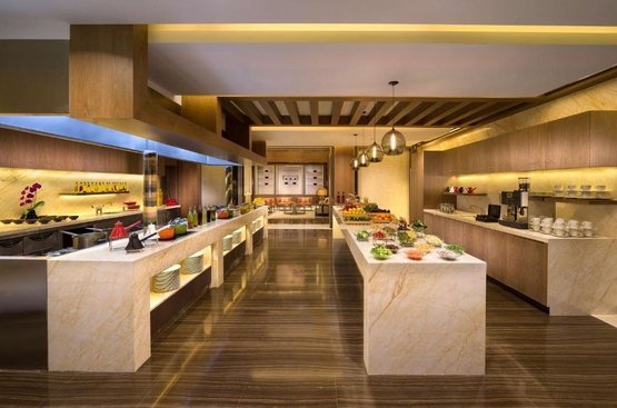 ОАЕ Hyatt Regency Dubai Creek Heights