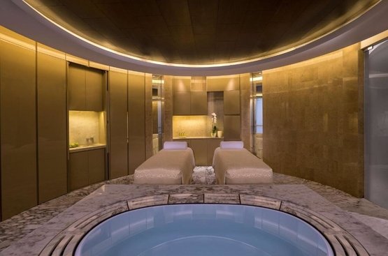 ОАЕ Hyatt Regency Dubai Creek Heights