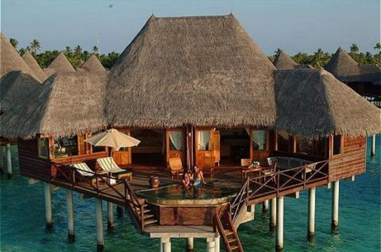 Мальдіви Coco Palm Dhuni Kolhu Resort & Spa