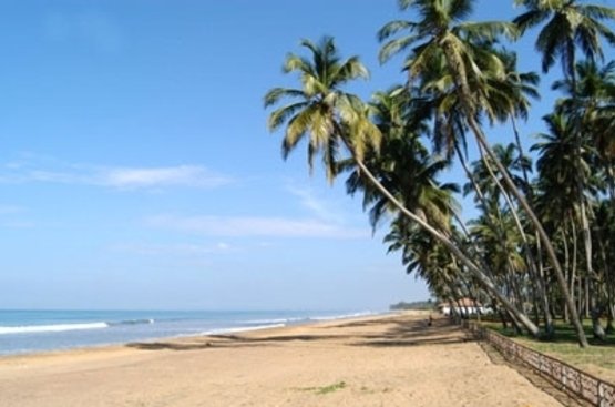 Шрі Ланка Royal Palms
