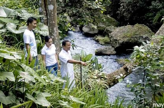 Індонезія (о.Балі) Maya Ubud