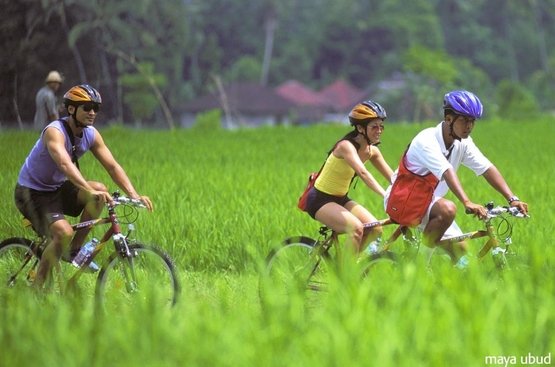 Індонезія (о.Балі) Maya Ubud