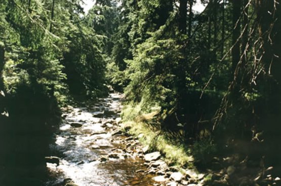 Австрия Bergblick