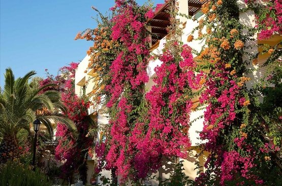 Греція Creta Royal Hotel