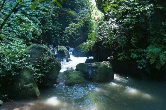 Индонезия (о.Бали) Nandini Ubud