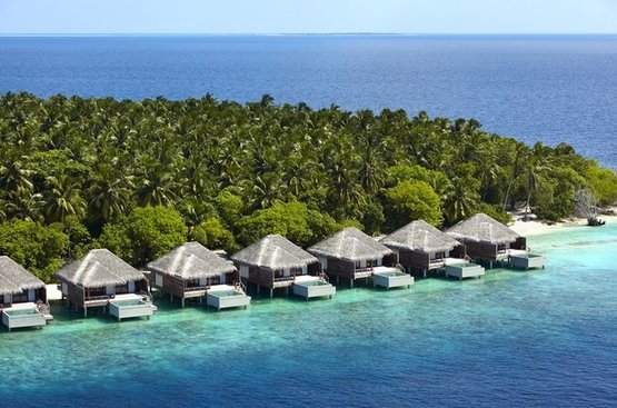 Мальдіви Dusit Thani Maldives, DELUXE