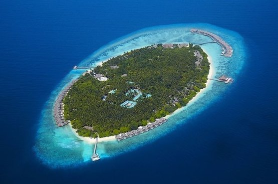 Мальдіви Dusit Thani Maldives, DELUXE