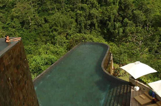 Індонезія (о.Балі) Ubud Hanging Gardens