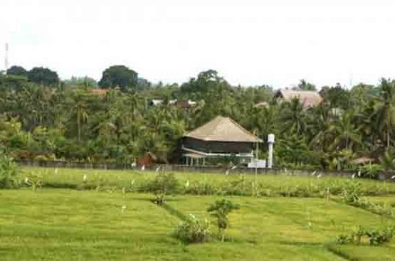 Індонезія (о.Балі) Suly Resort & Spa