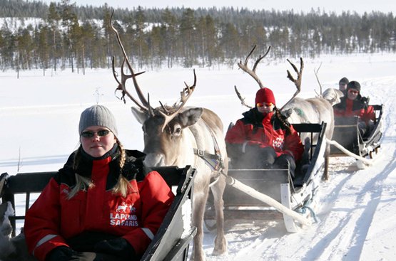  Rantasipi Pohjanhovi