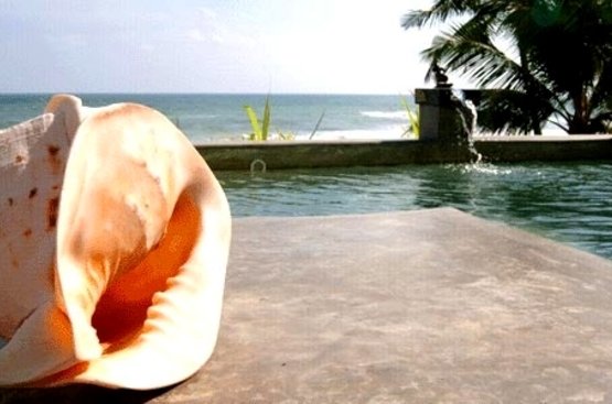 Шри-Ланка Aditya Resort