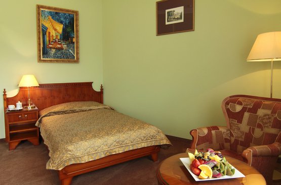 Чехия BRISTOL GEORGY HOUSE 4* Чехия BRISTOL GEORGY HOUSE 4*