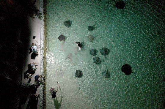 Мальдіви Nika Island Resort & Spa, Maldives