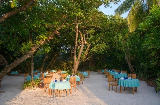 Мальдивы Coco Palm Dhuni Kolhu Resort & Spa