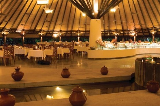 Мальдивы Coco Palm Dhuni Kolhu Resort & Spa