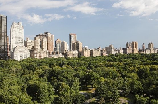 США The Ritz-Carlton New York, Central Park 