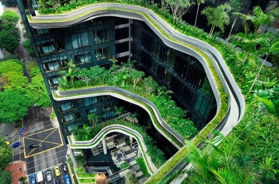 Сингапур PARKROYAL COLLECTION Pickering