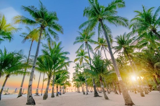 Філіппіни Oceanica Resort Panglao
