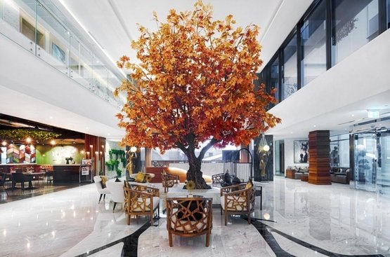 ОАЭ C Central Hotel and Resort The Palm