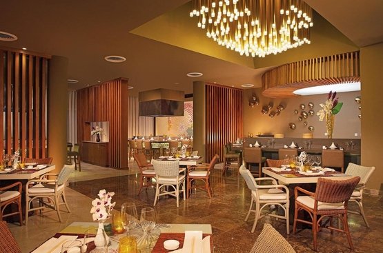 Домінікана Dreams Royal Beach Punta Cana - All Inclusive