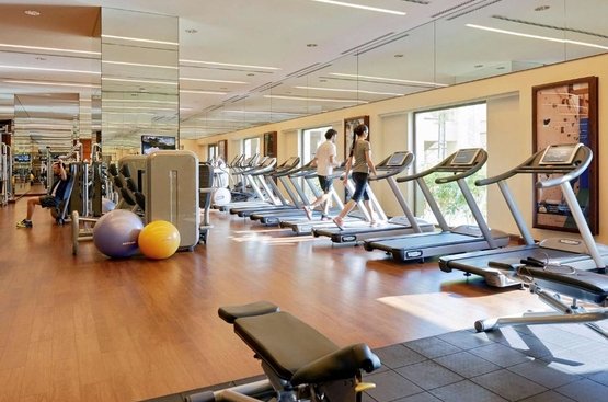 ОАЕ Fairmont The Palm