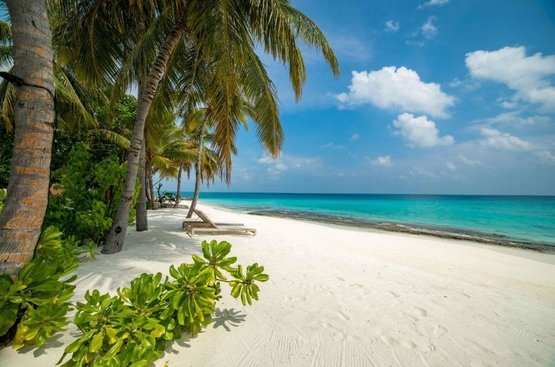 Мальдивы Fiyavalhu Resort Maldives