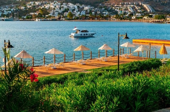 Туреччина Baia Bodrum Hotel