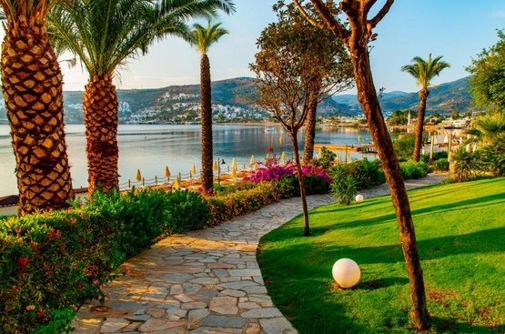 Туреччина Baia Bodrum Hotel