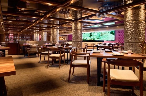 Мексика Hotel Xcaret Arte - All Parks All Fun Inclusive - Adults Only