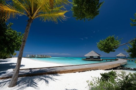 Мальдивы Cora Cora Maldives - Premium All-Inclusive Resort