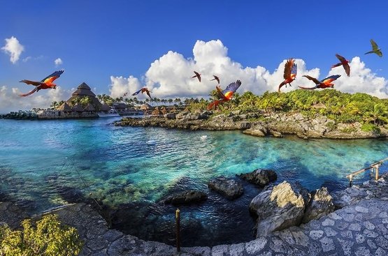 Мексика Occidental At Xcaret Destination 