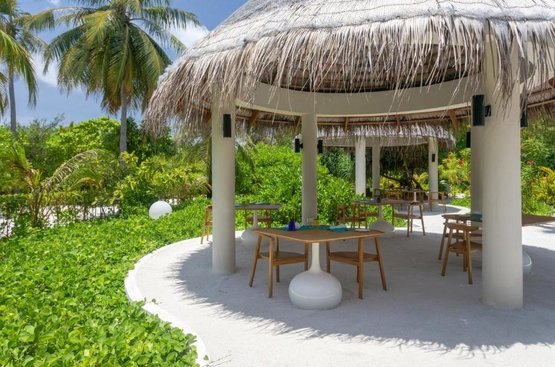 Мальдивы Cocoon Maldives - All Inclusive