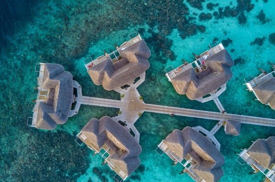 Мальдіви The Centara Collection, Machchafushi Island Resort & Spa Maldives
