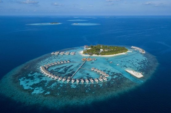 Мальдіви The Centara Collection, Machchafushi Island Resort & Spa Maldives
