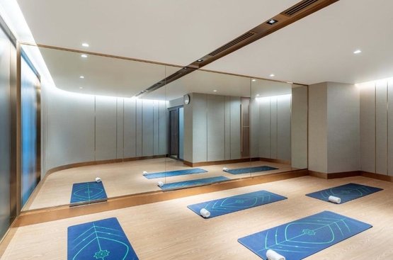 ОАЕ Taj Exotica Resort & Spa, The Palm Dubai