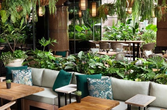 Сінгапур Four Seasons Hotel Singapore