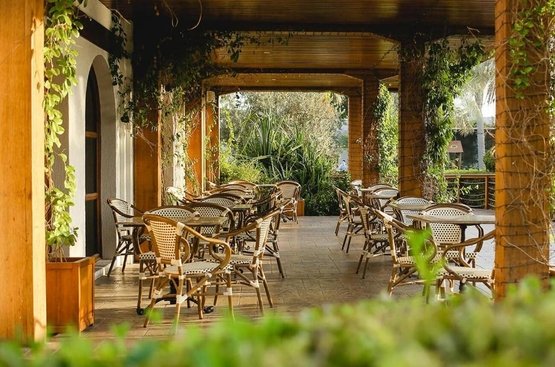 ОАЭ Dubai Marine Beach Resort & Spa