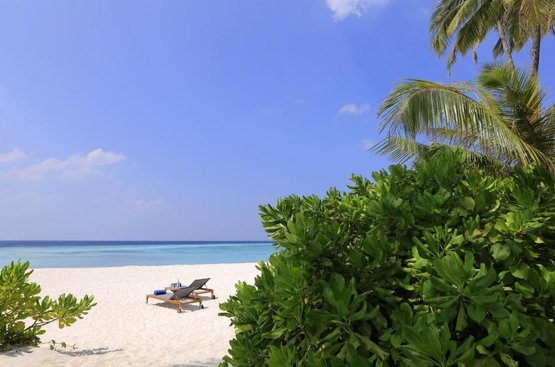 Мальдіви Avani Plus Fares Maldives Resort