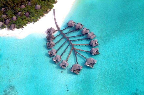 Мальдивы Coco Palm Dhuni Kolhu Resort & Spa