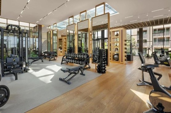 ОАЕ Jumeirah Al Naseem Dubai