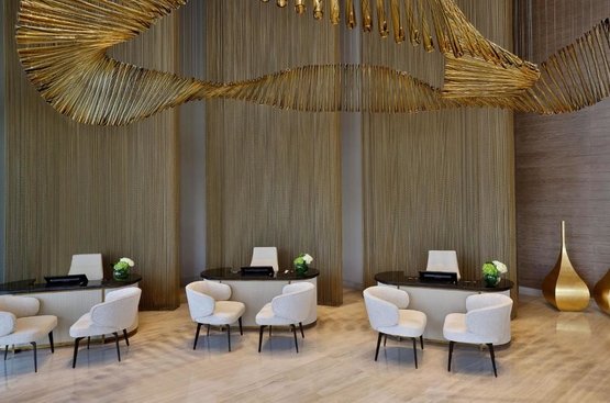 ОАЕ The St. Regis Downtown Dubai