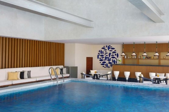 ОАЕ The St. Regis Downtown Dubai