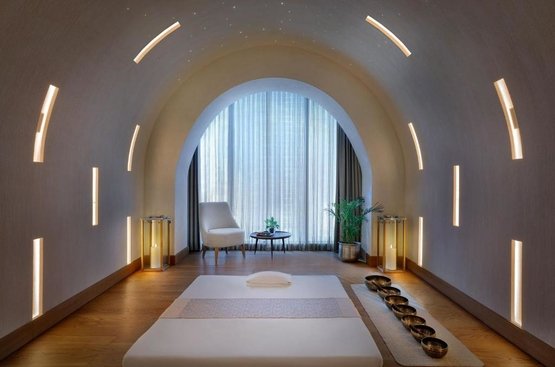 ОАЕ The St. Regis Downtown Dubai