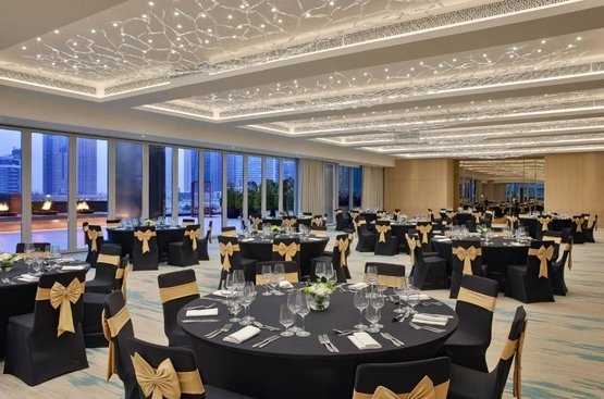 ОАЕ The St. Regis Downtown Dubai