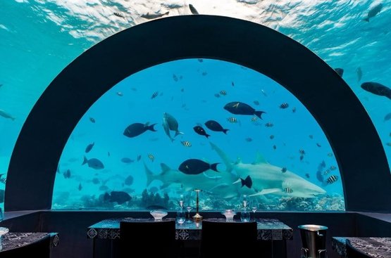 Мальдіви You & Me By Cocoon Maldives