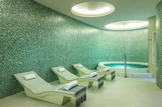 ОАЕ Hilton Dubai Al Habtoor City